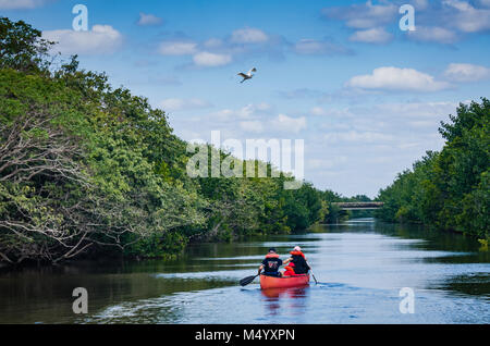 Familie Zeilen ein rotes Kanu auf die Biscayne Bay Lagune bei Biscayne National Park in Florida. Stockfoto