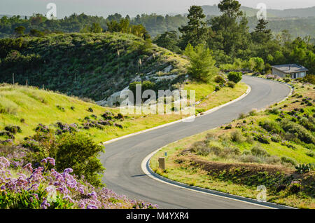 Steile und kurvenreiche Asphaltstraße inmitten der Frühling blüht auf Hügeln, Schluchten und Berge in Orange County, Kalifornien. Stockfoto