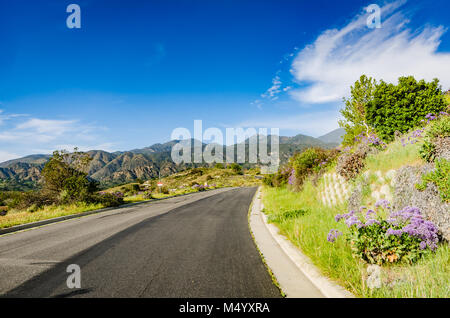 Gewundene Asphaltstraße inmitten der Frühling blüht auf Hügeln, Schluchten und Berge in Orange County, Kalifornien. Stockfoto