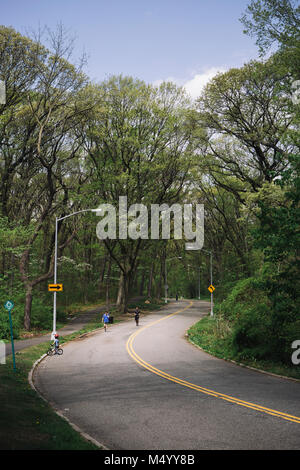 Die Menschen Laufen, Walken und Radfahren auf der Straße durch Forest Park, Queens, New York City, USA Stockfoto