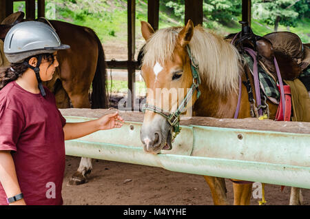 Junge hispanische Mädchen, das Tragen von Helm, Haustiere goldenen Pferd gesattelt, für eine Fahrt in den Catskill Mountains von New York. Stockfoto