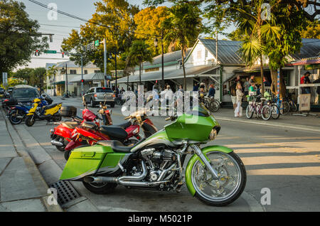 Eine grüne Motorradhalterung mit tropischen Palmen auf den Rädern bei beliebten Party Szene in Key West, FL gesehen. Das "Green Parrot Bar eine Institution seit 1890, f Stockfoto