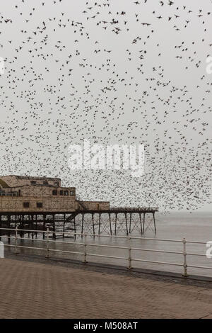 Aberystwyth, Ceredigion, Wales, Großbritannien, 19. Februar 2018 UK Wetter: Stare (Sturnus vulgaris) verlassen ihre Übernachtung roost von der Unterseite von Aberystwyth Pier auf diesem nebligen feuchten Tag. Credit: Ian Jones/Alamy leben Nachrichten Stockfoto