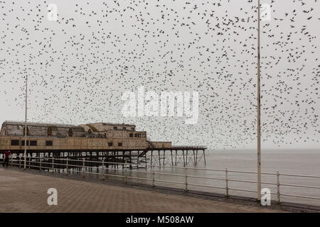 Aberystwyth, Ceredigion, Wales, Großbritannien, 19. Februar 2018 UK Wetter: Stare (Sturnus vulgaris) verlassen ihre Übernachtung roost von der Unterseite von Aberystwyth Pier auf diesem nebligen feuchten Tag. Credit: Ian Jones/Alamy leben Nachrichten Stockfoto