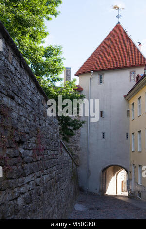 Gate Tower Pikk jalg in der Altstadt von Tallinn, Gebäude aus Stein aus dem 17. Jahrhundert Stockfoto