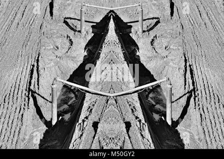 In der Erde verankert, Schwarz und Weiß Stockfoto