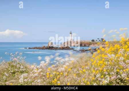 Pigeon Point Lighthouse an einem windigen Frühlingstag, am Leuchtturm konzentrieren, Vordergrund Blumen sind in den Wind. Stockfoto