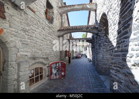 Steinbögen, die in den Weg von Catarina in der Altstadt von Tallinn. Stockfoto