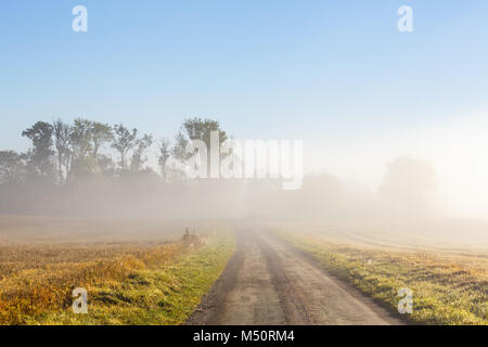 Morgennebel über eine Straße in die Landschaft Stockfoto