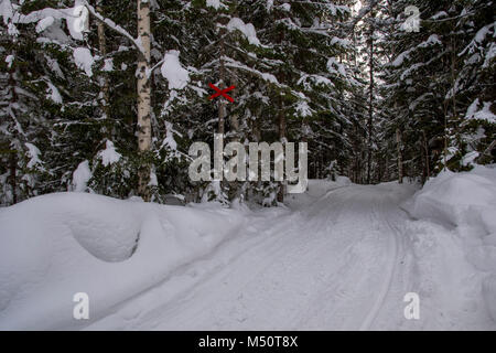 Snowmobile Spur im Wald mit einem roten x auf einem Baum bis Markierung der Strecke, Bild aus dem Norden Schwedens. Stockfoto