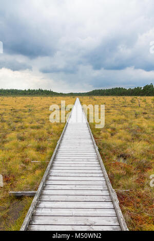 Wanderweg zu einer hölzernen Fußgängerbrücke über ein Moor Stockfoto