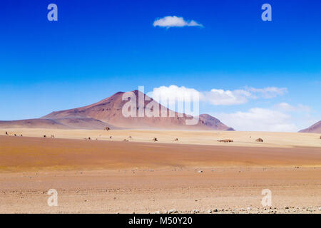 Bolivianischen Landschaft, Salvador Dali Desert View. Schöne Bolivien Stockfoto