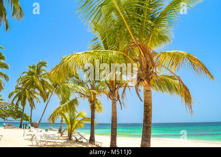 Schöner Strand mit Palmen, Sonnenliegen, blauer Himmel und türkisfarbenem Wasser, der Dominikanischen Republik, Samana, kleine Insel im Karibischen Meer Stockfoto