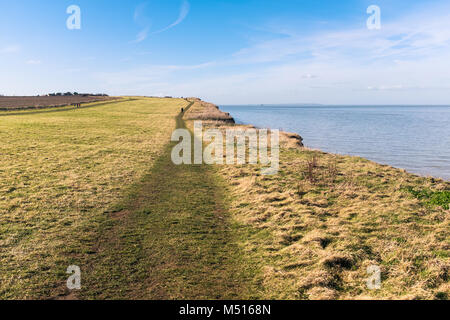 Weg entlang der Gras bedeckte Küste Klippen von Reuclver Country Park in der Nähe von Reculver Towers, in Kent, Großbritannien Stockfoto