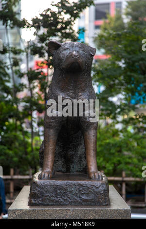 TOKYO, Japan - 12. OKTOBER 2016: Hachiko Memorial Statue in Shibuya, Tokio. Es ist Bronze Statue zu Ehren Hachiko, die berühmte treu Akita Hund. Stockfoto