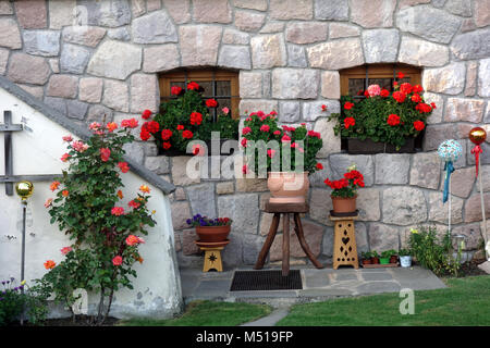 Haus Wand mit pelargonia Stockfoto