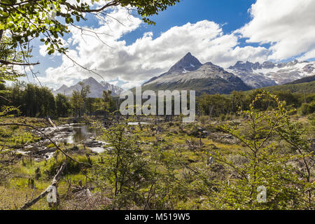 Landschaft Nationalpark Tierra del Fuego Patagonien Stockfoto