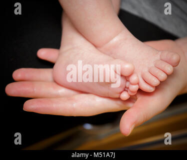 Füße von neugeborenen Babys in der Hand der Mutter. 'S Sweet Baby Füße Stockfoto