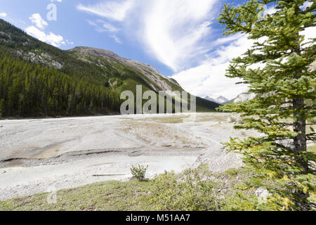 Athabasca River View 3 West Kanada Stockfoto