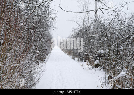 Winter im Schwenninger Moos, der Ursprung des Neckars, Bäume sind weiß, es schneit, den Weg und die Bank sind vollkommen weiß und voller Stockfoto