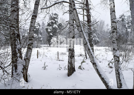 Winter im Schwenninger Moos, der Ursprung des Neckars, Bäume sind weiß, es schneit, den Weg und die Bank sind vollkommen weiß und voller Stockfoto