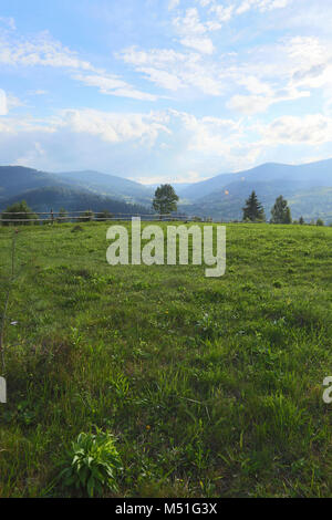 Die Berge, Glanz, Tag, Vertex, Morgen, wunderbar, Reise, Straße, Zaun, Heu, Baum, Fichte, Wald Stockfoto