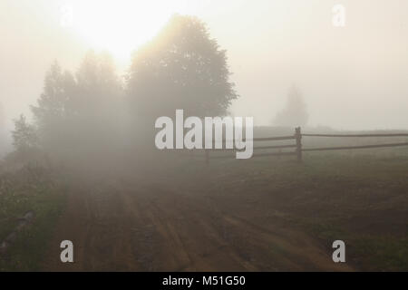 Vertex, Zaun, Straße, Dorf, Wiese, Feld, Glanz, Tag, wunderbarer Morgen, Grün, Blau, schöne, Gras, Misty, natürlichen, Morgen, Wald, Himmel, hinterg Stockfoto