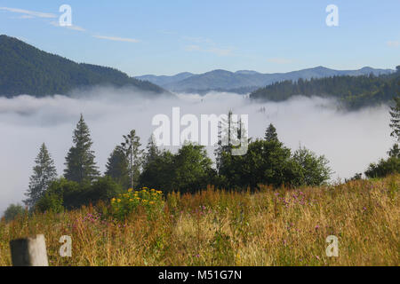 Nebel, Dunst, Morgen, Glanz, Tag, Berge, Bäume, Wald, Feld, Vertex, Tal, klaren Himmel, Himmel, Kiefern, Laub, glamourös, Magic, erzählen, Blume Stockfoto