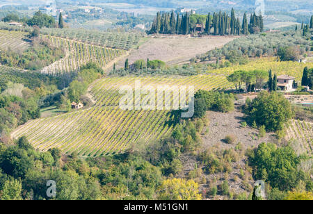 Wunderschönen Weinberg Felder und ein schönes Haus in San Gimignano, Toskana, Italien Stockfoto