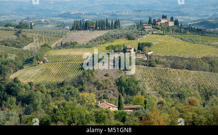 Wunderschönen Weinberg Felder in San Gimignano, Toskana, Italien Anfang Oktober Stockfoto