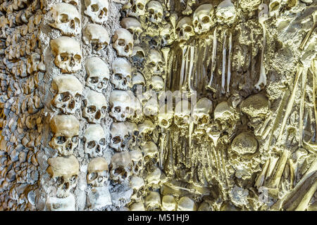 Nahaufnahme der Schädel an der Wand in der Kapelle der Knochen, die in der Königlichen Kirche des Hl. Franziskus, Évora, Alentejo, Portugal Stockfoto