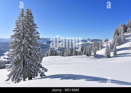 Tief verschneite Landschaft in den Allgäuer Alpen mit Wäldern an einem schönen Wintertag. Bayern, Deutschland Stockfoto