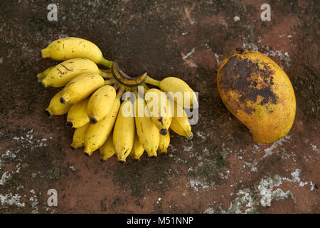 Bunte Bananen und Papaya Stockfoto