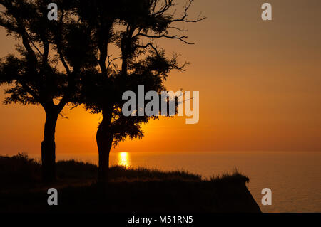 Sonnenaufgang auf dem Meer. Die Sonne geht hinter den beiden Baum Silhouette. Stockfoto