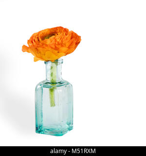 Orange buttercup in einem transparenten grüne Flasche isoliert Stockfoto