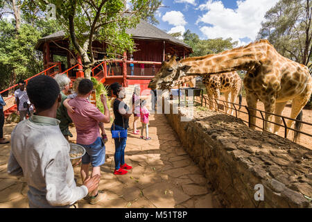 Touristen an der Giraffe Center mit Rothschild Giraffen, Nairobi, Kenia Stockfoto