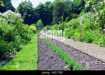 Gehweg durch Sommer Englischer Garten mit Lavendel in der Mitte, Rosen, Blumen, Sträucher und Bäume, an einem sonnigen Tag in den Cotswolds. Stockfoto