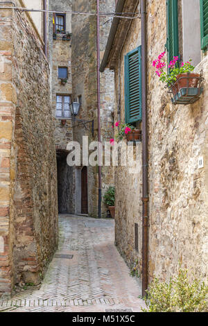 Hinterhof in einer Gasse mit blühenden Pflanzen zum Windows Stockfoto