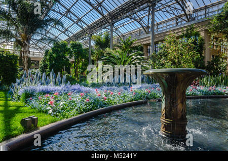 Dramatische Gewächshaus Garten verfügt über fließendes Wasser Brunnen und üppigen Anzeige von farbenfrohen tropischen Pflanzen in Longwood Gardens, eine Amerikanische botanischen gar Stockfoto