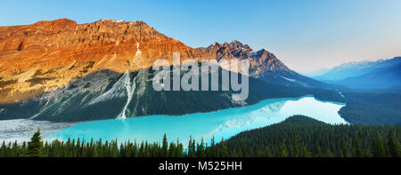 Peyto Lake Stockfoto