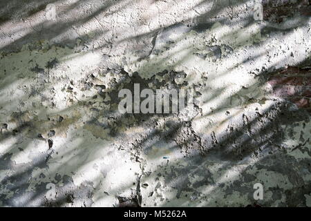 Textur der alten Mauer mit Gips und Schatten Stockfoto