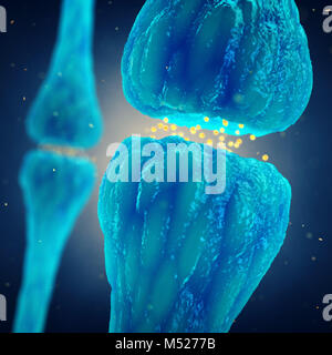 Die synaptische Übertragung, Nervensystem, Gehirn, Synapsen Stockfoto