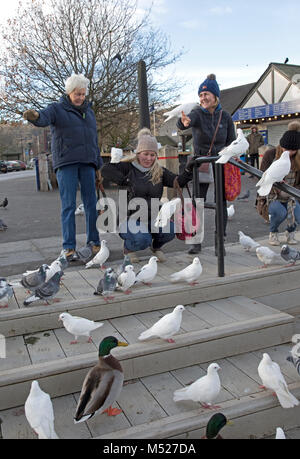 Lächelnd Familie Fütterung Vögel Bowness on Windermere Cumbria GROSSBRITANNIEN Stockfoto