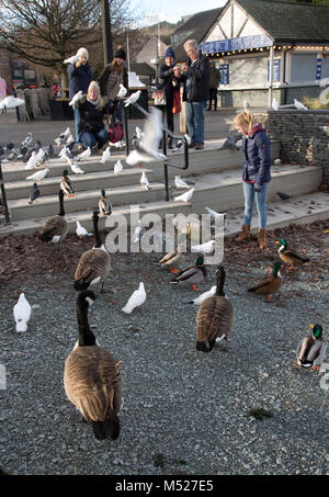 Familie Fütterung Vögel Bowness on Windermere Cumbria GROSSBRITANNIEN Stockfoto