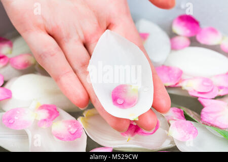 Pflege, Behandlung, Natur Konzept. Zarte spa Verfahren für die Hände mit einer Badewanne mit vielen Blüten von verschiedenen Blumen wie Tulpen und Rosen Stockfoto