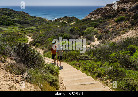 Torrey Pines State Naturpark, in San Diego City Limits befindet, bleibt eine der wildesten Landstriche auf unserer südlichen Kalifornien coa Stockfoto