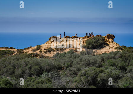 Torrey Pines State Naturpark, in San Diego City Limits befindet, bleibt eine der wildesten Landstriche auf unserer südlichen Kalifornien coa Stockfoto