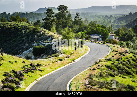 Steile und kurvenreiche Asphaltstraße inmitten der Frühling blüht auf Hügeln, Schluchten und Berge in Orange County, Kalifornien. Stockfoto