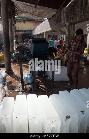 Ein Mann verteidigt sich von Streunenden Eis, welches vor Ort ist der Fisch so frisch wie wenn sie gefangen wurden. Cox's Bazar ist eine Küstenstadt in der östlichen Region von Bangladesch. Fisch ist eines der Hauptnahrungsmittel der lokalen Bevölkerung. Der Fischmarkt in Cox's Bazar öffnet am frühen Morgen Alltag die Fänge des Tages zu den Restaurants und Familien in der Region. Stockfoto