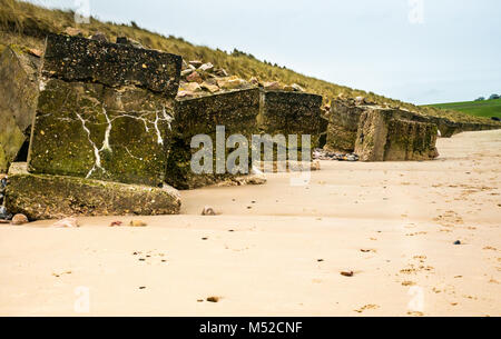 Linie der ruiniert konkrete Weltkrieg II Anti Tank Blöcke auf Sandstrand, Sandend, Moray, Schottland, Großbritannien Stockfoto